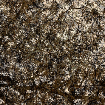 Wood remix - Free image #323859